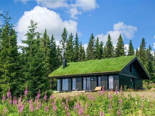 Sommerhus - 8 personer -  - Bekkjedalen - Hafjell - 2636 - Øyer