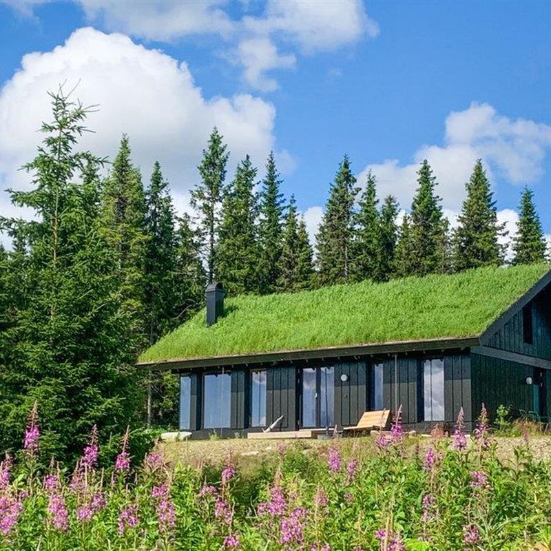 Sommerhus - 8 personer -  - Bekkjedalen - Hafjell - 2636 - Øyer