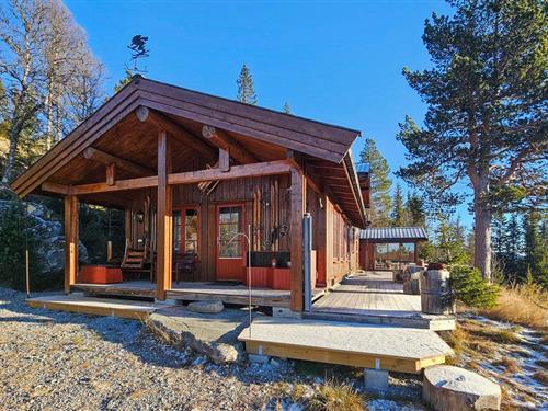 Sommerhus - 8 personer -  - Dakkesetvegen - Tinn, Skirvedalen - 3650 - Austbygda