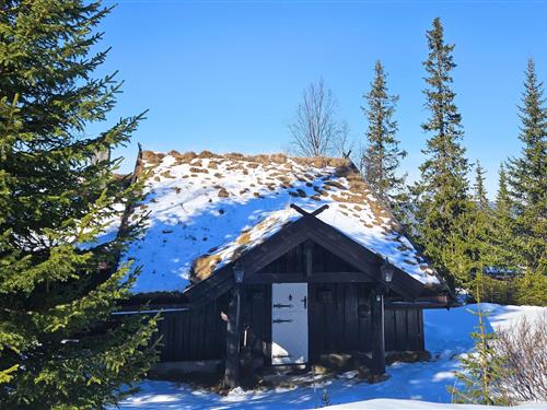 Holiday home - 10 persons -  - Nattenvegen - Nesfjellet - 3540 - Nesbyen
