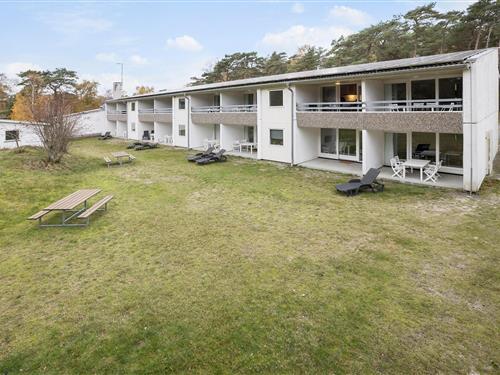 Holiday apartment - 4 persons -  - Sirenevej 2, - Dueodde - 3730 - Nexø