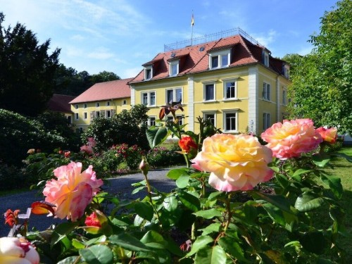 Holiday home - 5 persons -  - 01909 - Großharthau-Bühlau