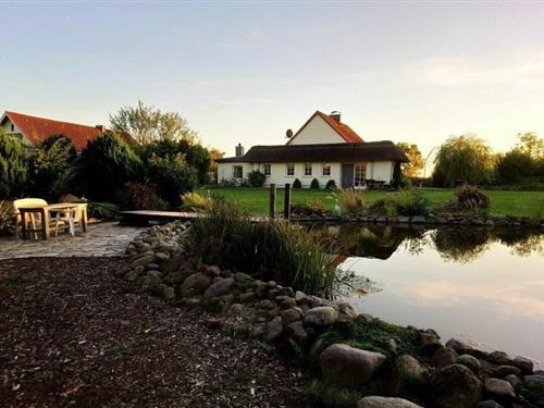 Sommerhus - 8 personer -  - 23942 - Dönkendorf