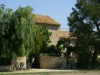Bilde 7