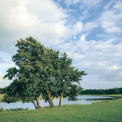Billede 4