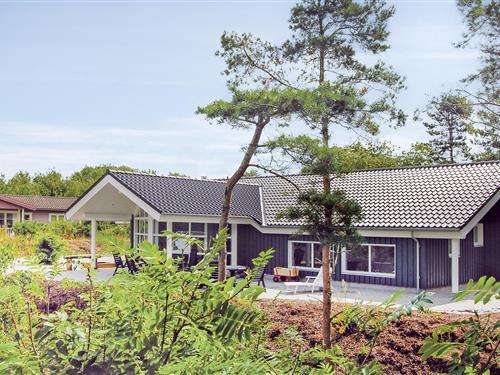 Sommerhus - 11 personer -  - Rugårdstien - Fjellerup - 8585 - Glesborg