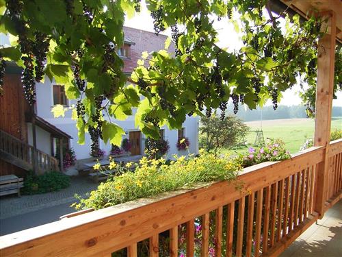 Holiday Home/Apartment - 4 persons -  - Schönthanner Straße - 92539 - Schönsee