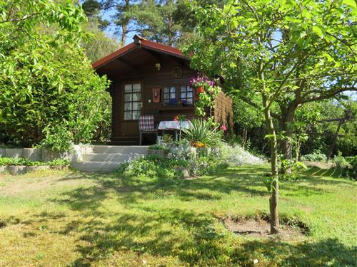 Feriehus - 1 person -  - Strandstraße - 17459 - Loddin / Kölpinsee