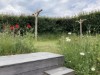 Billede 9 - Grund