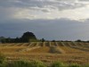 Afbeelding 2 - Ude