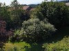 Bild 19