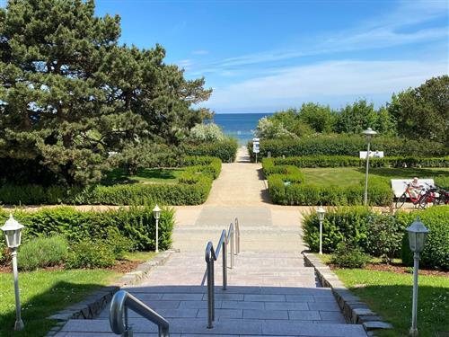 Ferielejlighed - 5 personer -  - Dünenstraße - 17454 - Zinnowitz