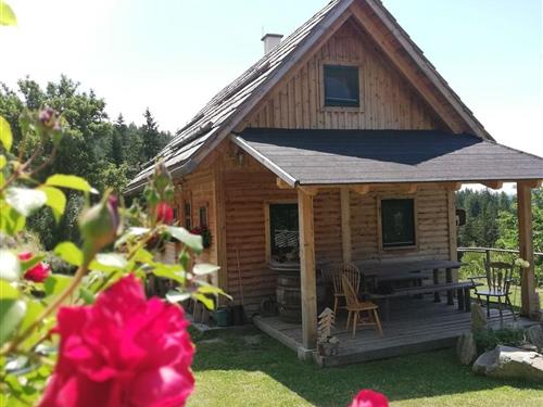 Sommerhus - 5 personer -  - Sankt Peter - 9463 - Sankt Peter Im Lavanttal