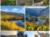 Billede 2