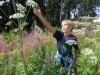 Bild 50
