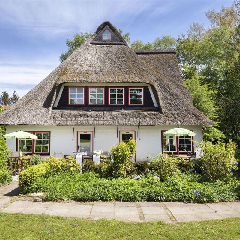 Sommerhus - 25 personer -  - Herrenhausweg - 23738 - Manhagen