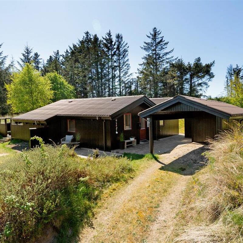 Ferienhaus - 5 Personen -  - Berberisvej - 9492 - Blokhus