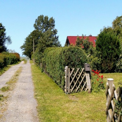 Billede 4