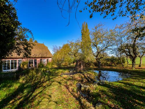 Ferieleilighet - 3 personer -  - Renz - 18574 - Poseritz