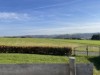 Image 13