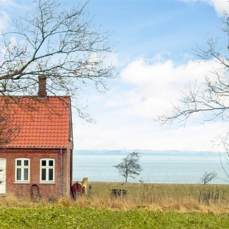 Ferienhaus - 6 Personen -  - Floutrupvej - Eskov - 7870 - Roslev