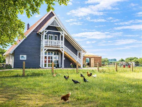 Bondegård - 5 personer -  - FeWos, E-Auto-Ladestation, Eventlocation, Biohof - 18230 - Rerik (Ostseebad) Ot Garv