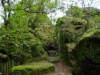 Bild 18