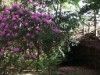 Image 11 - Outside