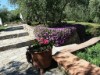 Image 18 - Outside