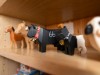 Bild 66 - Ude