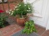 Image 15