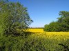 Bild 17