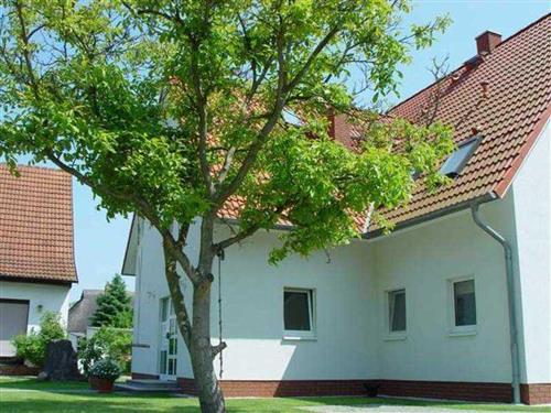 Semesterhus/Semesterlägenhet - 5 personer -  - Am Teich Nr. 5 b - 17493 - Greifswald / Eldena