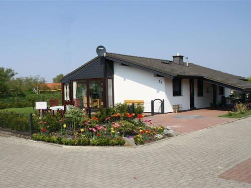 Holiday Home/Apartment - 5 persons -  - 26969 - Eckwarderhörne