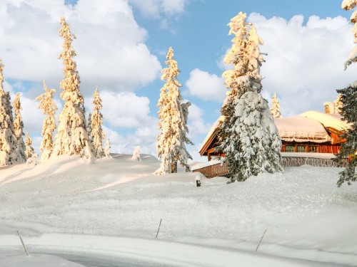 Holiday home - 10 persons -  - Svartlivegen - Vegglifjell - 3628 - Veggli