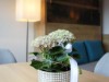 Bild 29
