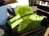 Bild 82