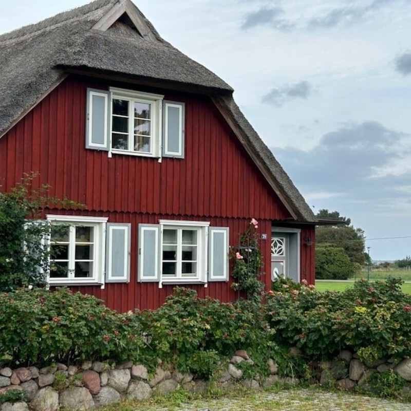 Sommerhus - 4 personer -  - 18317 - Saal Ot Neuendorf Heide