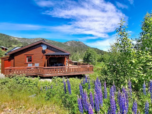 Holiday home - 6 persons -  - 4544 - Eikerapen