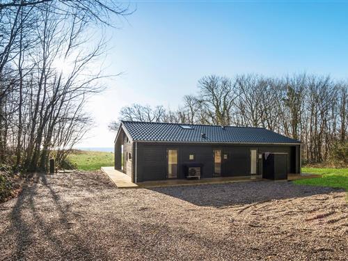 Sommerhus - 7 personer -  - Sønderhjørnevej - Horne Næs - 5600 - Faaborg