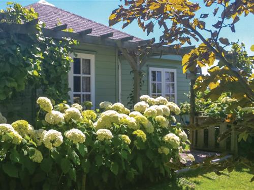 Fritidshus - 2 personer -  - Rijksweg - 1787 PK - Julianadorp