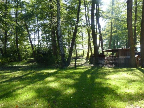 Feriehus - 4 personer -  - 15754 - Heidesee Ot Bindow