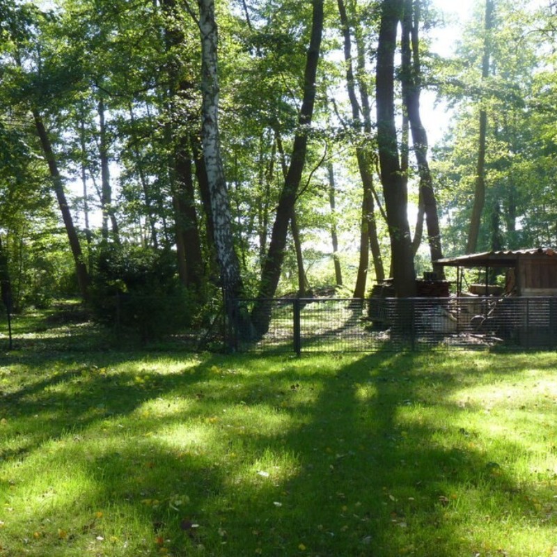 Sommerhus - 4 personer -  - 15754 - Heidesee Ot Bindow