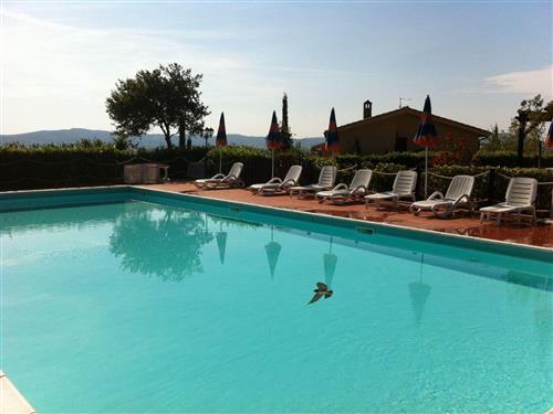 Ferieleilighet - 6 personer -  - Castellina Marittima - 56040