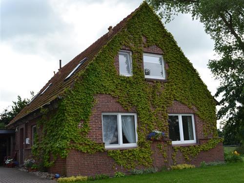 Ferienhaus - 4 Personen -  - Inselstraße 2 a - 28790 - Schwanewede