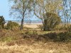 Bild 5 - Ude
