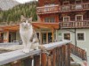 Billede 16