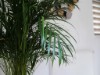Bild 28