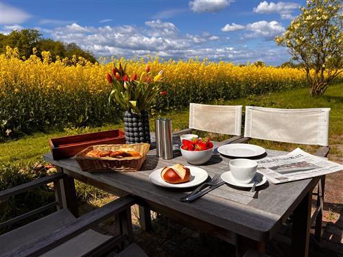 Feriehus - 4 personer -  - Roikier - 24972 - Steinbergkirche