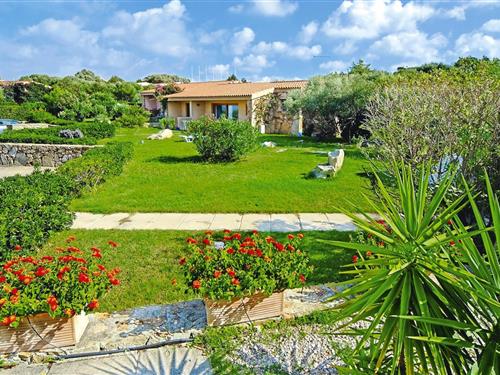 Ferielejlighed - 6 personer -  - 07020 - Porto Pollo